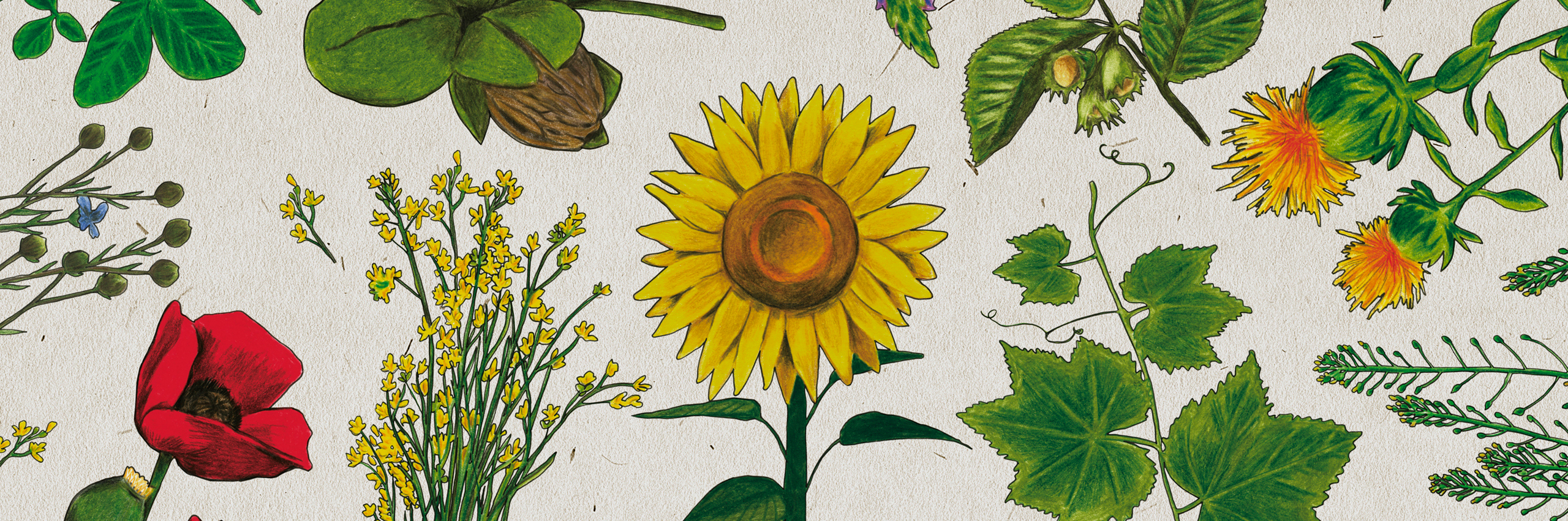 Goût, Genuss, Gusto 2021