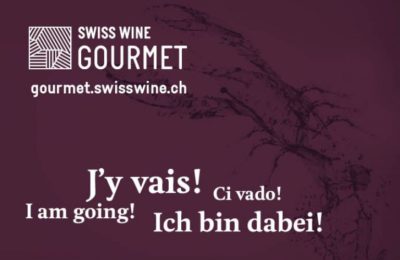 v1_swg17_banniere_web_695x460px_a