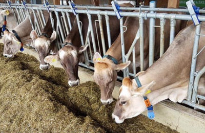 BienManger_novembre2019_ASASGG