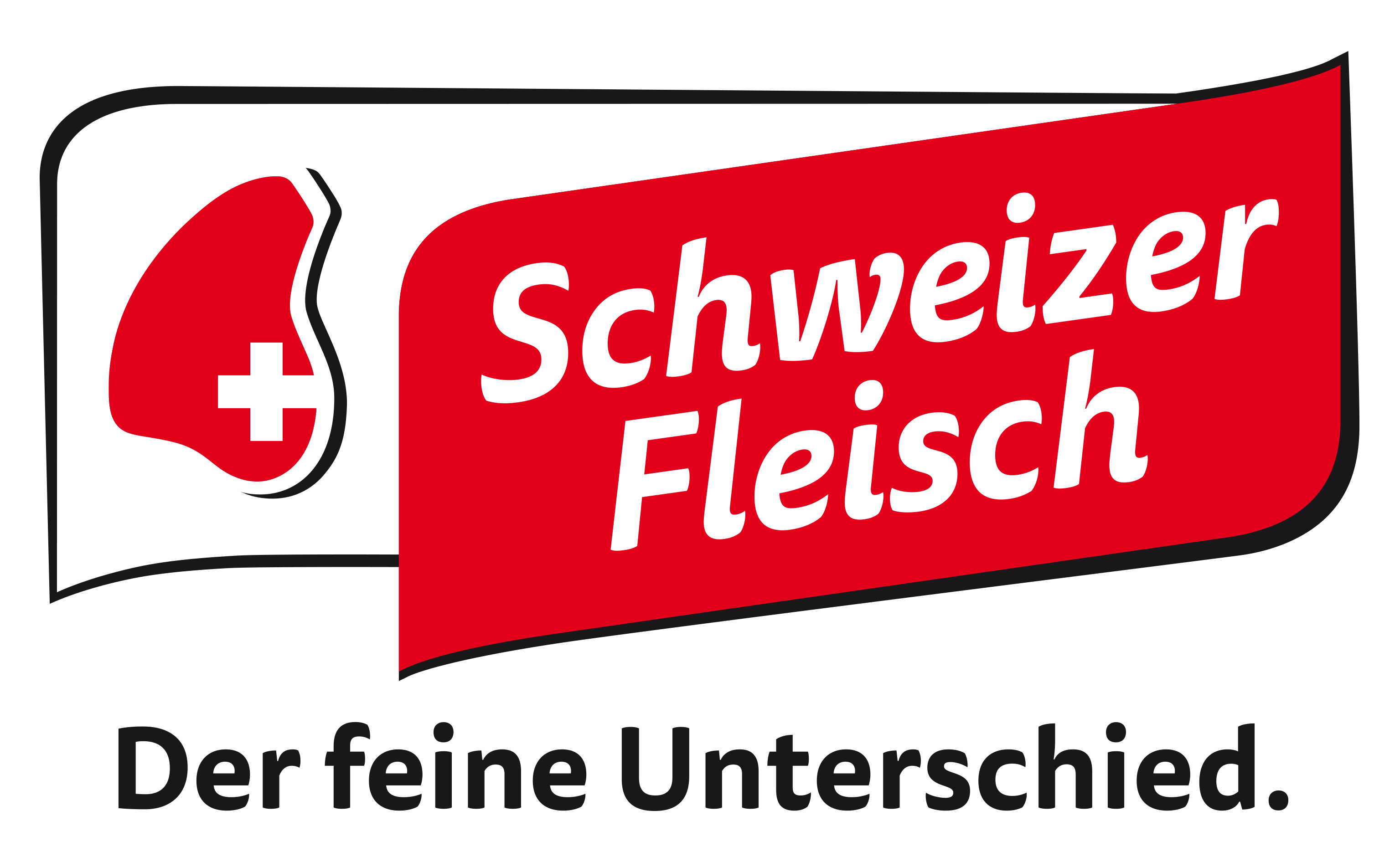 Schweizer Fleich