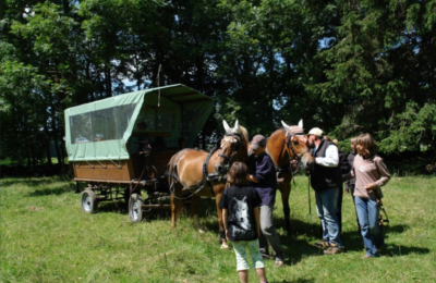 Capture d’écran 2020-06-30 à 13.43.00